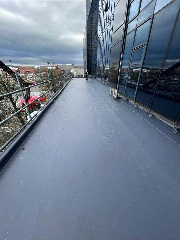 Single ply membrane roof, commercial building