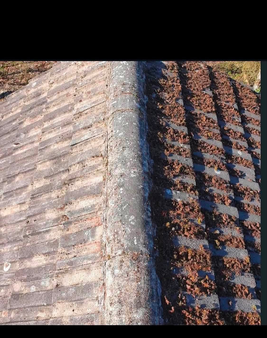 Ridge tiles on a roof